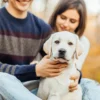 How to Cancel Fetch Pet Insurance