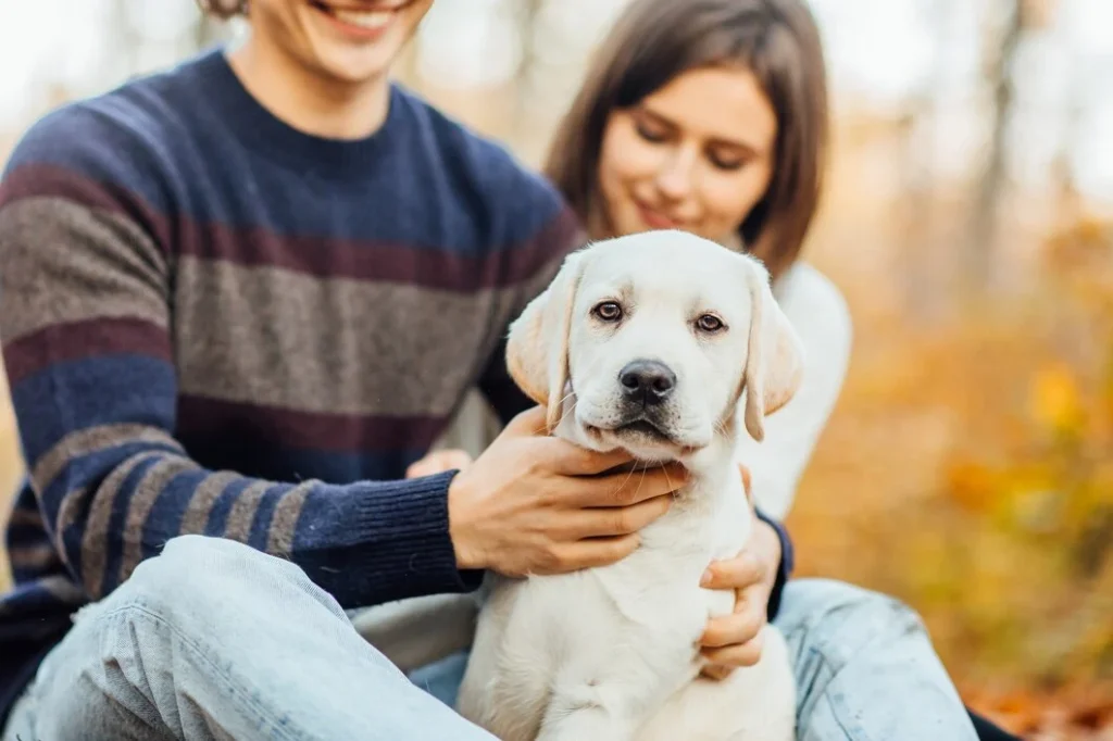 How to Cancel Fetch Pet Insurance