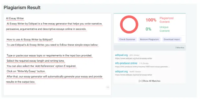 plagiarism checker