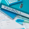 Payroll Consultant