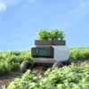 Robot Lawn