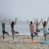 Wellness and Physical Health