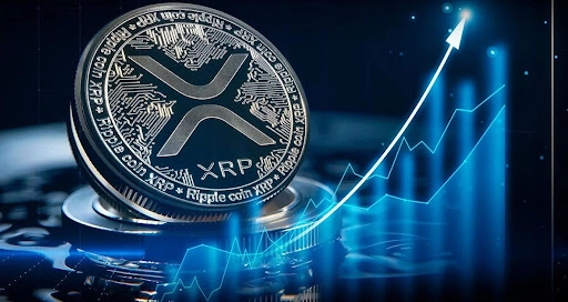 XRP Calculator