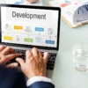 Custom Software Development