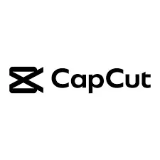 Use a CapCut Video Downloader for Seamless Video Editing and Sharing