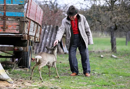 Best Holidays for Solo Adventurers