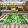 The Modern Backyard