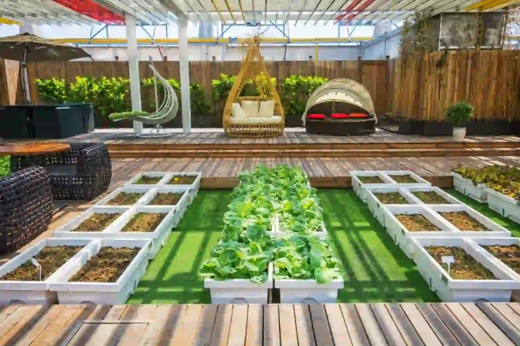 The Modern Backyard